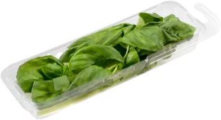 Albahaca