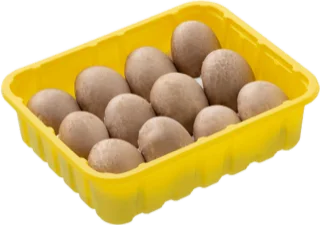 Champiñones Portobello
